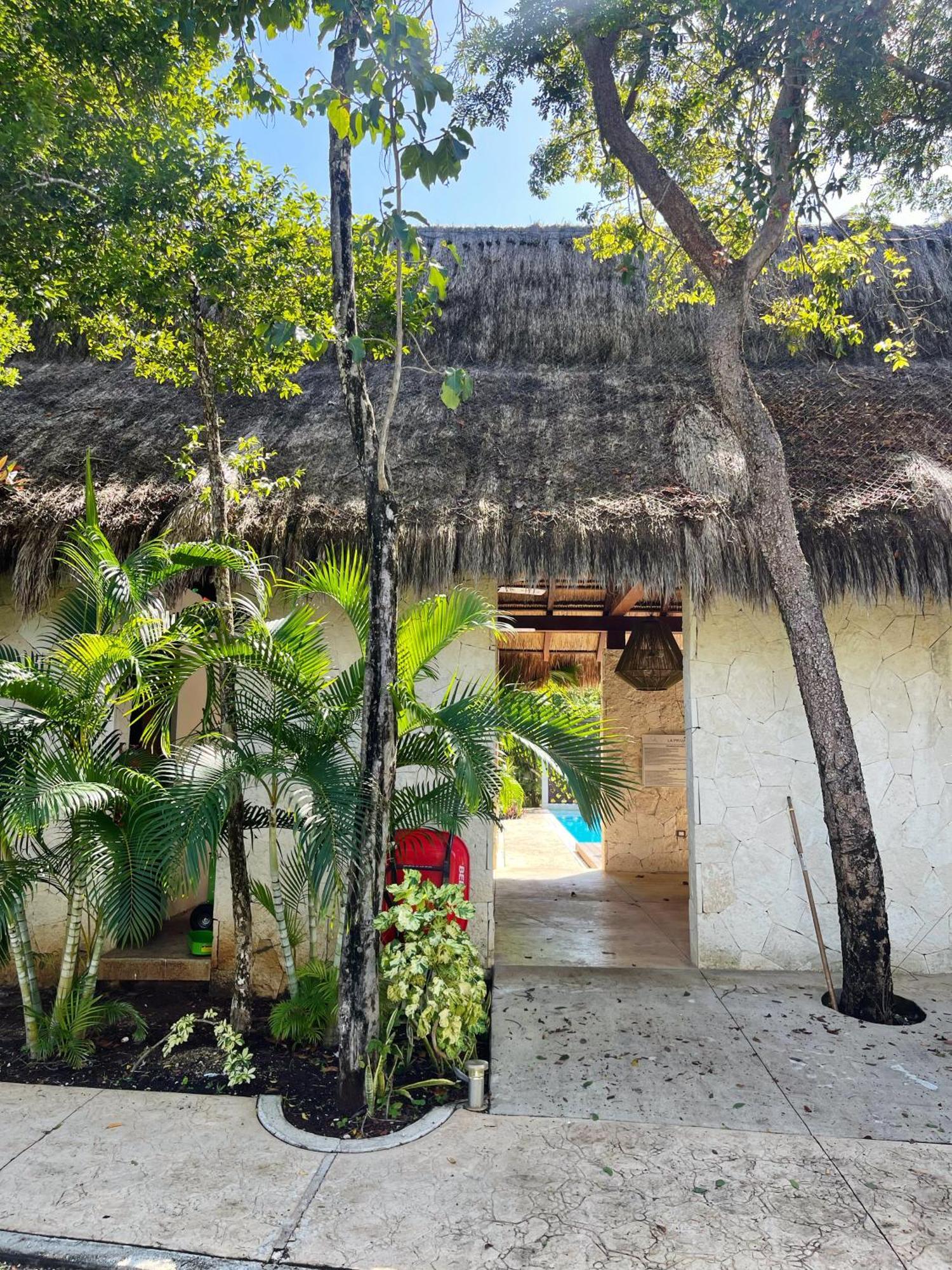Villa Tikal Tulum Extérieur photo